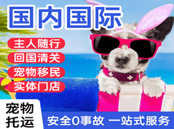 黑河空运公司国际宠物托运 【国